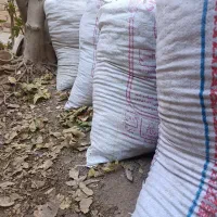 چند عدد گونی کود|گل و گیاه طبیعی|کرمان, |دیوار