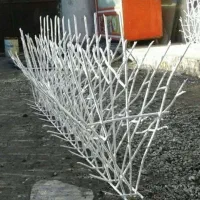 قیمت حفاظ دیواری