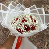 پخش گل|گل و گیاه طبیعی|خمین, |دیوار