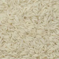 برنج هاشمی الک یک