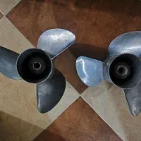 پوسته گیر وپروانه|قایق و سایر وسایل نقلیه|بمانی, |دیوار