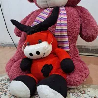 عروسک خرسی بزرگ  و گاو خشمگین