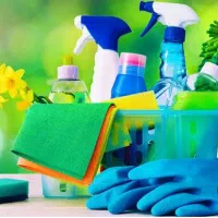 نیروی خدمات نظافتی برای شرکت