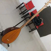 سازباغلاما|سازهای سنتی|صومای برادوست, |دیوار