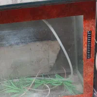 آکواریوم|ماهی|مشهد, بهمن|دیوار