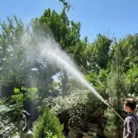 خدمات باغبانی و سمپاشی  در تمام نقاط شهر