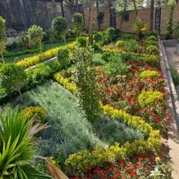 خدمات باغبانی کاشت گل درختکاری تعویض خاک گلدون