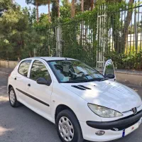 ۲۰۶ تمیز خونگی فنی به شرط