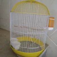 قفس پرنده