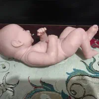 عروسک سیلیکونی|اسباب‌‌بازی|تهران, تجریش|دیوار