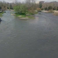 کروه و دورهمی