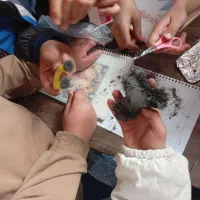 آموزش کتب ابتدای ریاضی فارسی علوم از دوم تاششم