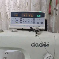 راسته دادلی