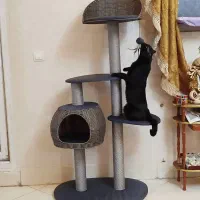 پت شاپ