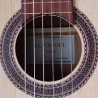 فروش گیتار کلاسیک نو|گیتار، بیس، امپلیفایر|کرمان, |دیوار