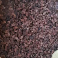 توت توت|خوردنی و آشامیدنی|مشگین شهر, |دیوار