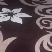 ۲ عدد فرش ۱۲متری