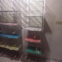 قفس ولوازم پرنده