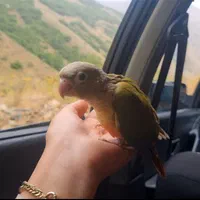 گمشده هرکی پیدا کرد خبر بده مژدگانی میدم