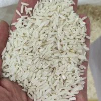 انواع برنج درجه ۱ ، حبوبات و چای ممتاز شمال زیبا|خوردنی و آشامیدنی|هشتگرد, شهرک بعثت|دیوار