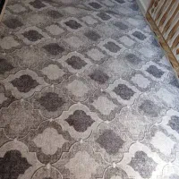 پالاز موکت|موکت|دزفول, |دیوار