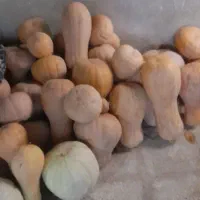 کدوحلوای