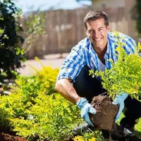 خدمات باغبانی باغچه کاری گلکاری تعویض خاک گلدون