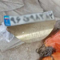 یک عدد پلاک پیدا شده