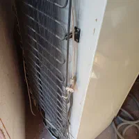 فریزر|یخچال و فریزر|یزد, |دیوار