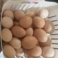 برنج محسن و تخم مرغ محلی و روغن