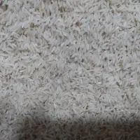 برنج هاشمی مغان