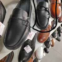 کفش کالج مجلسی|کیف، کفش، کمربند|بومهن, |دیوار