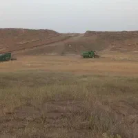 گندم برات ارگانیک دیم
