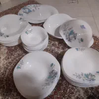 ظروف آرکوپال فرانسه گل سرخی و قابلمه های کارکرده