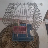 قفس پرنده