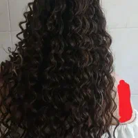 کلیه خدمات  مو