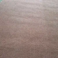 موکت