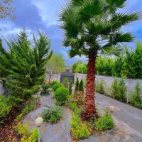 خونه باغ گوگولی بیا بخر فقط ۳۵۰۰/کد222|فروش خانه و ویلا|امامزاده عبدالله, |دیوار