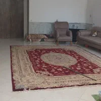 همکف ورودی مجزا بلوار دانشگاه (( املاک سپـه ))|اجارهٔ خانه و ویلا|نیشابور, شهرک قدس|دیوار
