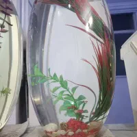 فایتر جفت فایتر تکی اکواریوم مخصوص فایتر