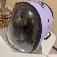 لوازم گربه کاملا نو