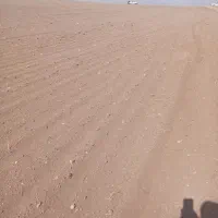 زمین کشاورزی