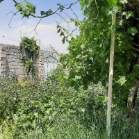 مناسب کشاورزی و کارگاه و اصناف مختلف|اجارهٔ دفتر صنعتی، کشاورزی، تجاری|شهریار, کهنز|دیوار