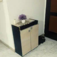 جاکفشی