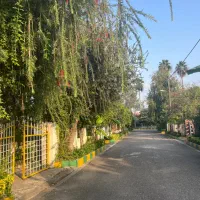 فروش زمین در شهرک با اصالت چسبیده ب نمک آبرود|فروش زمین و ملک کلنگی|هچیرود, |دیوار