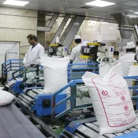 نیروی آقا مجرد پذیرفته می شود