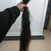 مرکز موی طبیعی