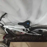 دوچرخه مارک تورنادو شماره 26