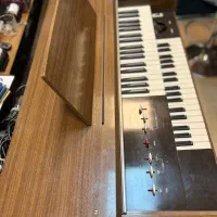 ارگ یاماها الکتون در موزیک ارژنگ|پیانو، کیبورد، آکاردئون|پردیس, فاز ۳|دیوار