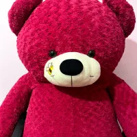 خرس بزرگ درحدنو ۱۵۰۰